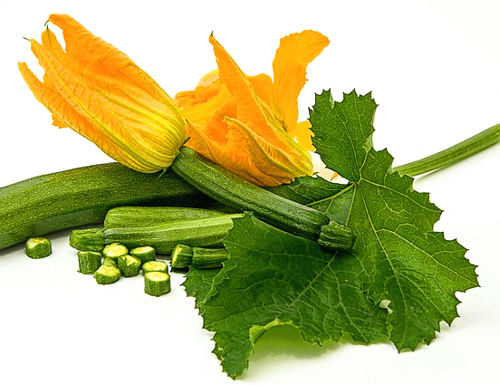 노란색 큰 호박꽃 2개가 있고 넓은 호박잎과 애호박이 있다.