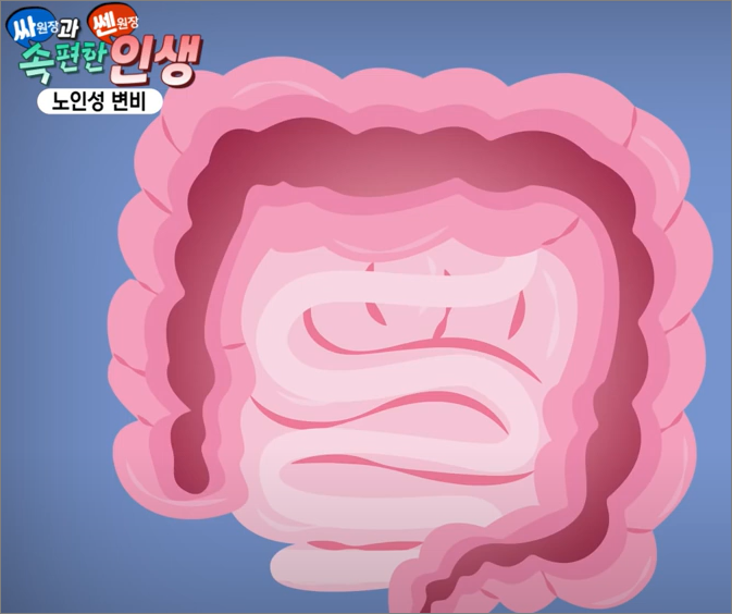 소화기관 대장