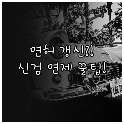 1종 보통 면허 갱신 신체검사 면제 ..