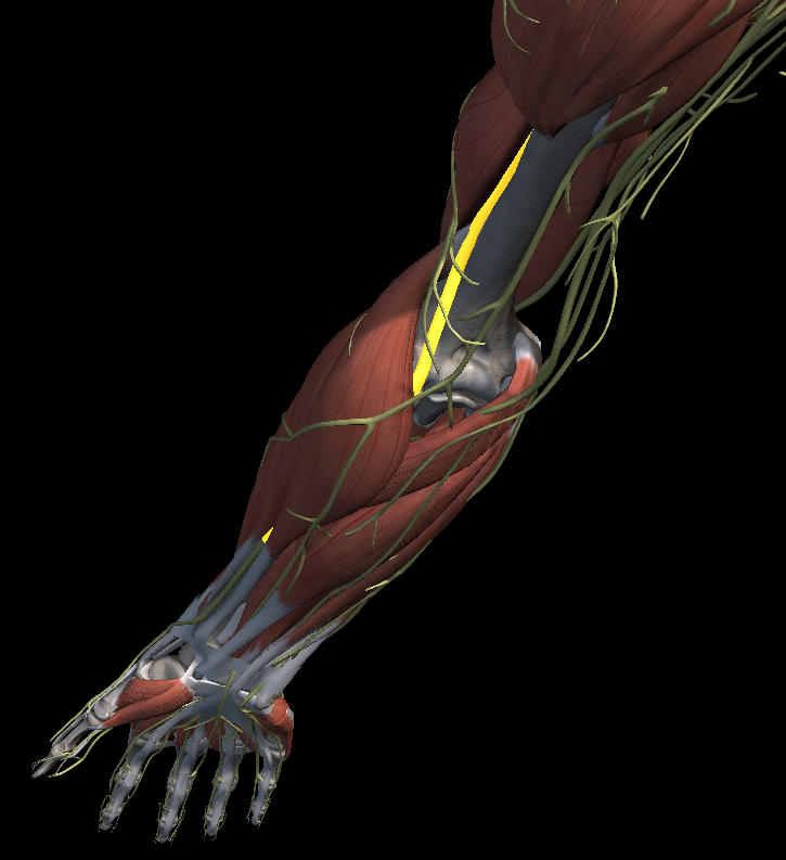 엄지 손가락 저림 증상 치료법