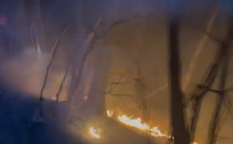 강원도 양양 산불