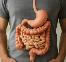 카무트 효소 효능