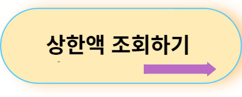 상한액-조회하기