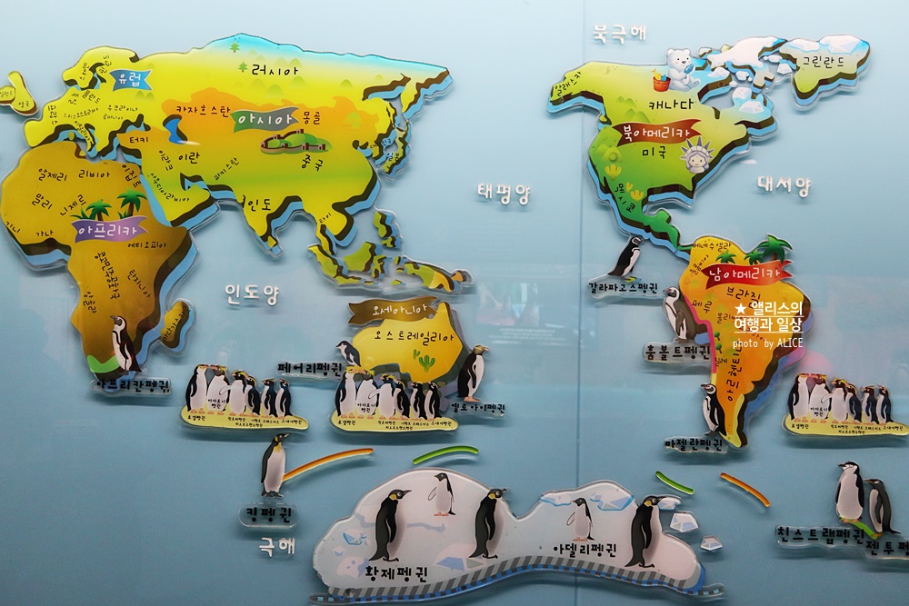 코엑스 아쿠아리움 입장권 할인예약 방법, 대중교통 가는 방법, 참물범 펭귄 비버 상어 보러가자!