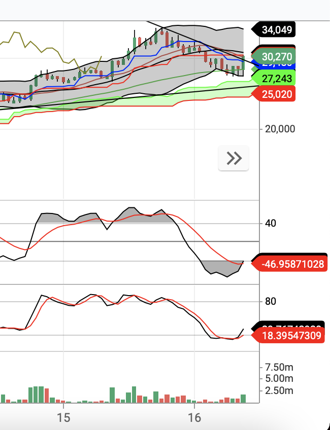 엑시인피니티 코인