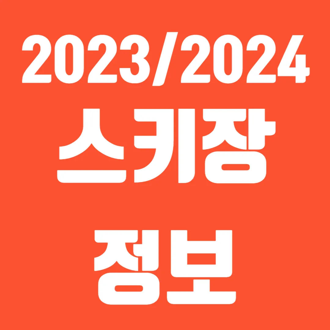 스키장 정보