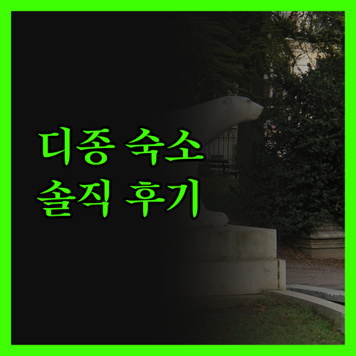 디종 숙소 고민 끝 오달리스 시티 레