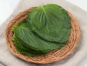 깻잎 효능 부작용