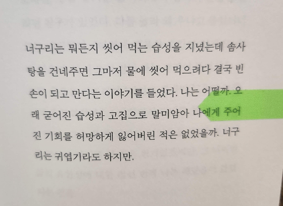 이적의단어들 너구리