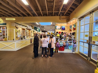 돌플랜테이션모자기념품