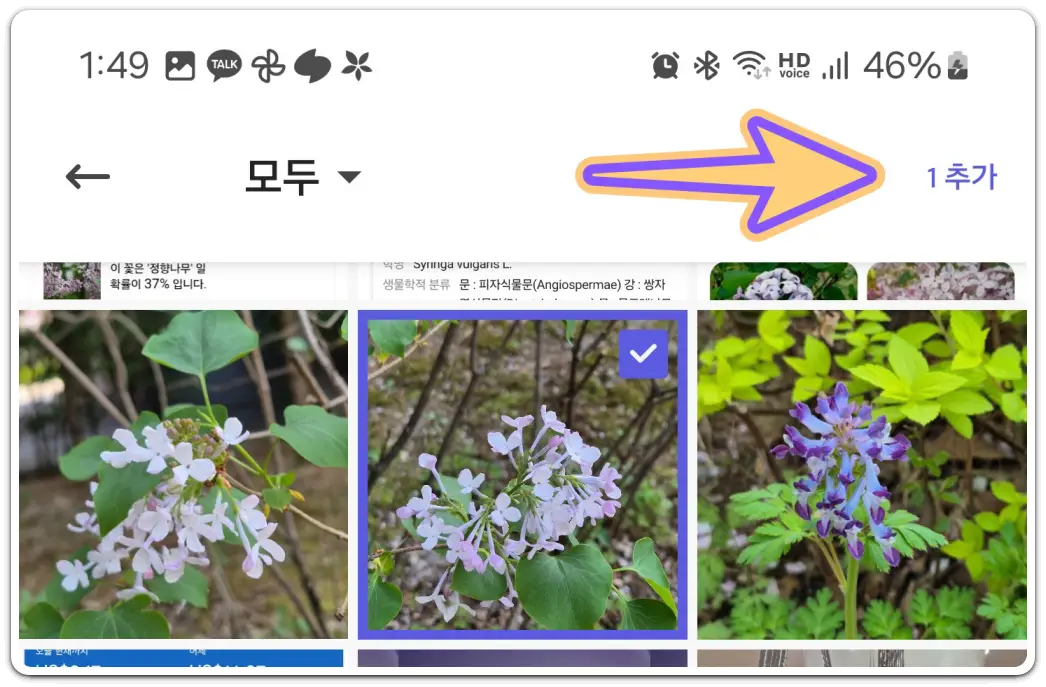 핸드폰으로-사진에-글씨-넣기-방법