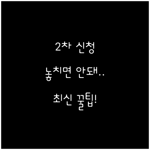 소비쿠폰 2차 비대면 신청, 누락 없..