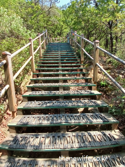 Steep forest stairs made of wooden slats, ideal for high-intensity cardio, fat burning, and improving VO₂ Max through stair climbing./경사진 숲속 나무 계단, 계단 오르기를 통한 고강도 유산소 운동과 지방 연소, VO₂ Max 향상에 효과적인 구조