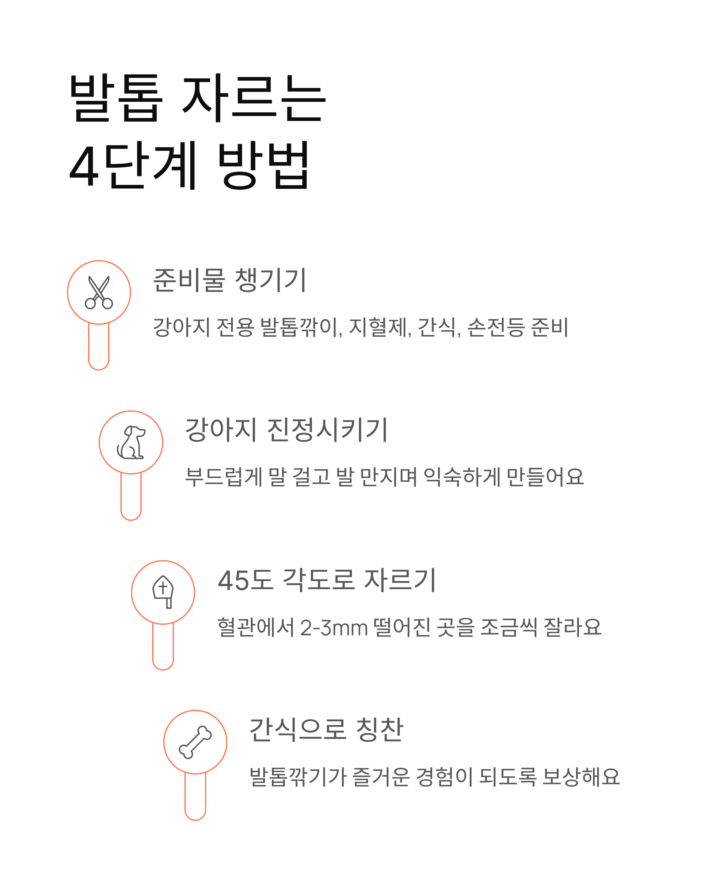 강아지 발톱깎기 ❘ 방법 주기 혈관 지혈 집에서 안전하게 자르는법 총정리