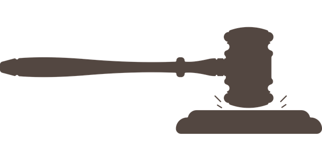 재판 결과 및 일정