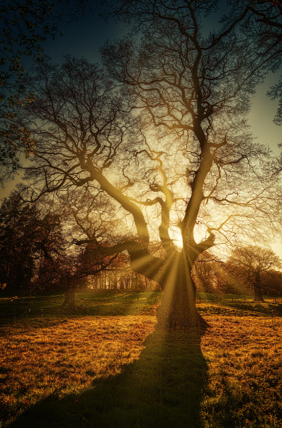 햇빛이 비추는 모습