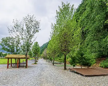 평창 더위 사냥 축제 꿈의 대화 캠핑장_1