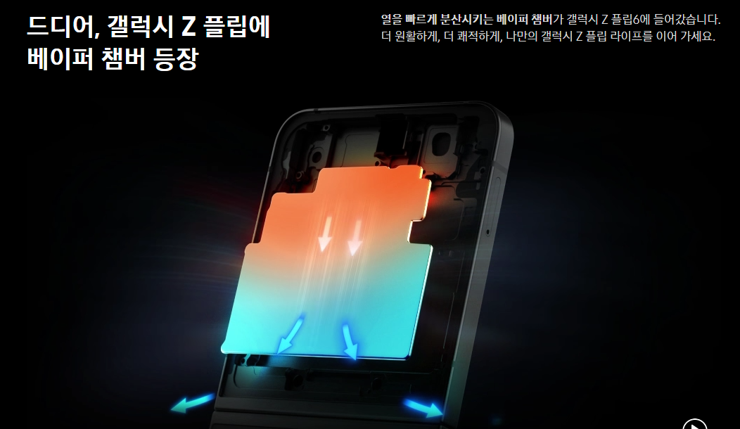 플립6