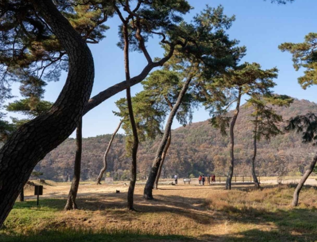 공주 가볼만한곳 베스트10