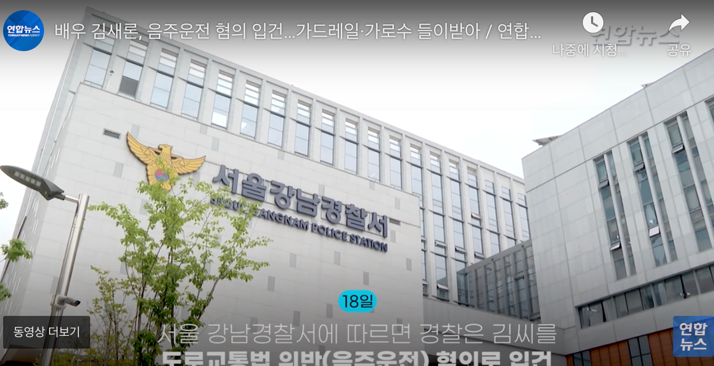 강남경찰서에 입건 된 김새론