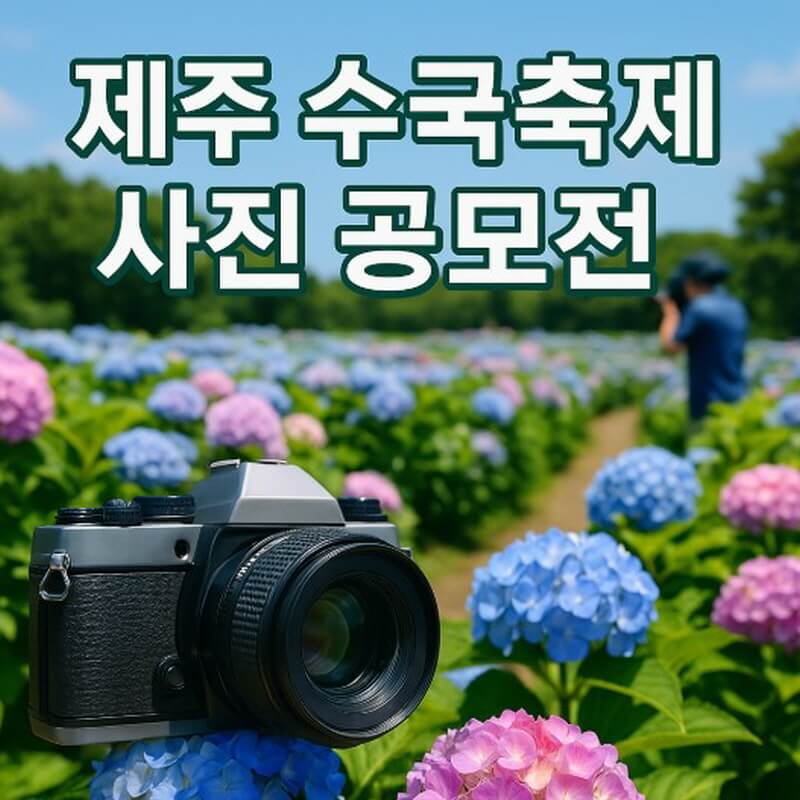제주 수국축제 사진 공모 (참여 방법, 꿀팁, 촬영 포인트) 관련사진