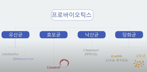 명의(김도영 교수)가 추천하는 유산균