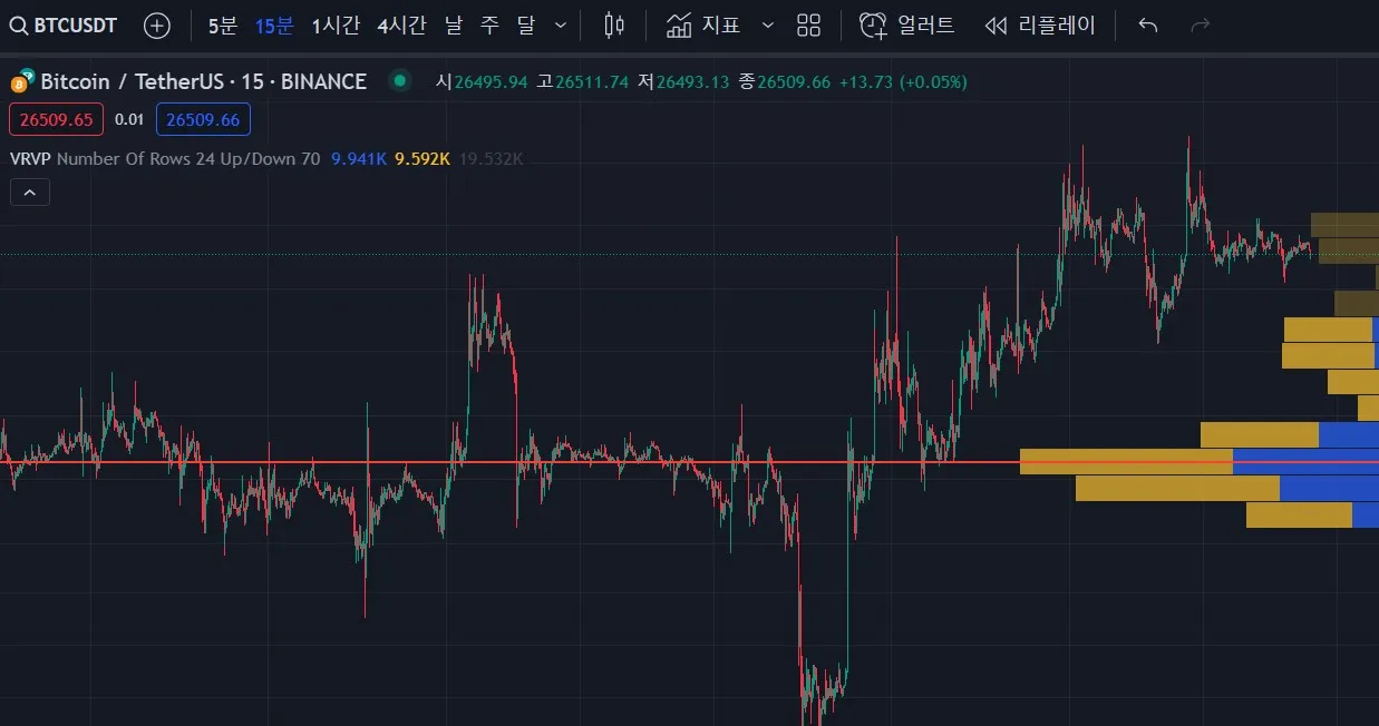 VPVR적용 이미지2