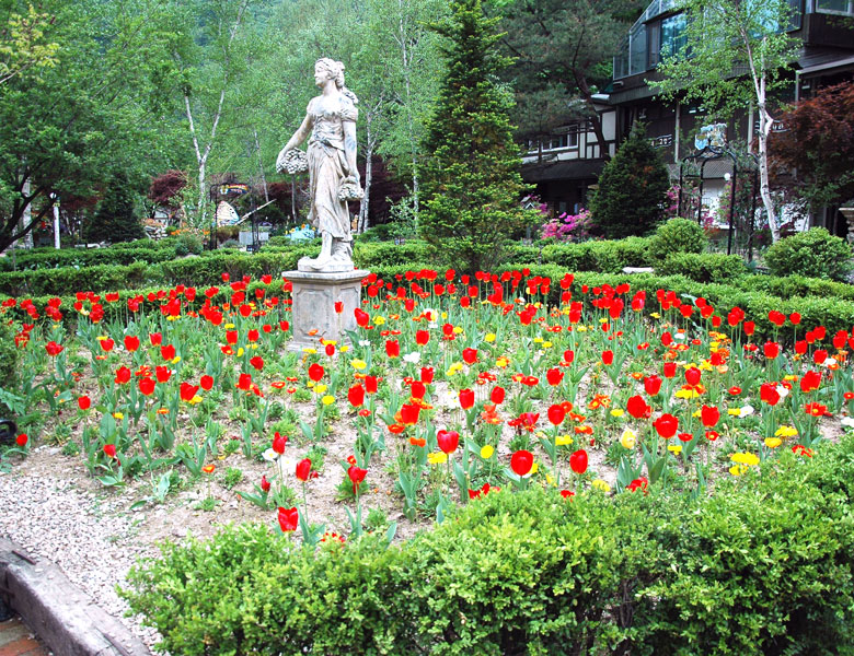 평창 가볼만한곳