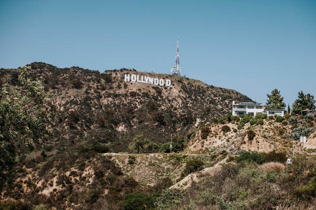 연예인 꿈 해몽