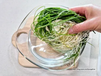 달래 손질 방법 달래장 맛있게 꿀팁_8