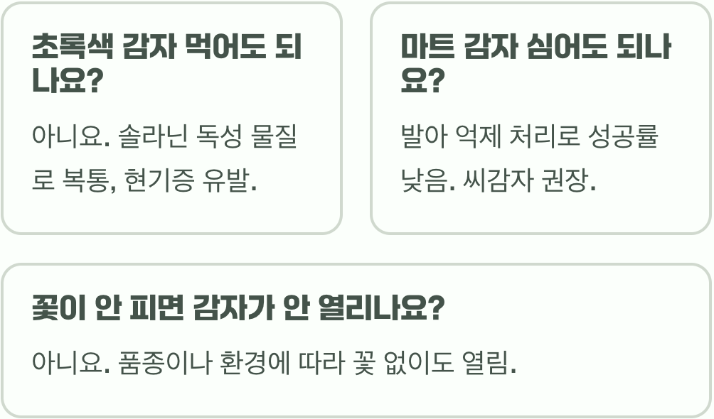 감자꽃 키우는 법: 초보자도 쉽게 할 수 있는 가이드