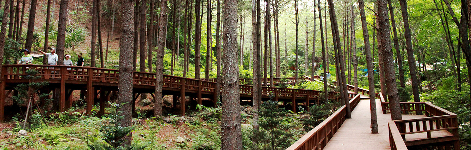양평 산음 자연휴양림 주변 맛집 카페 마트 특산물 시세 오일장 반려견 동반 정보