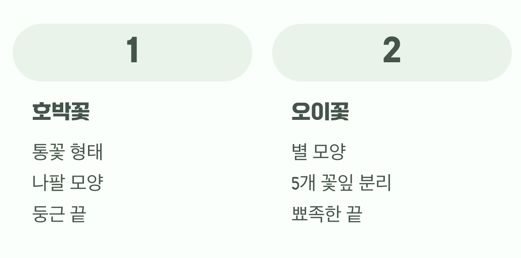 꽃잎 모양이 완전히 달라요