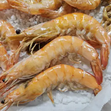 새우