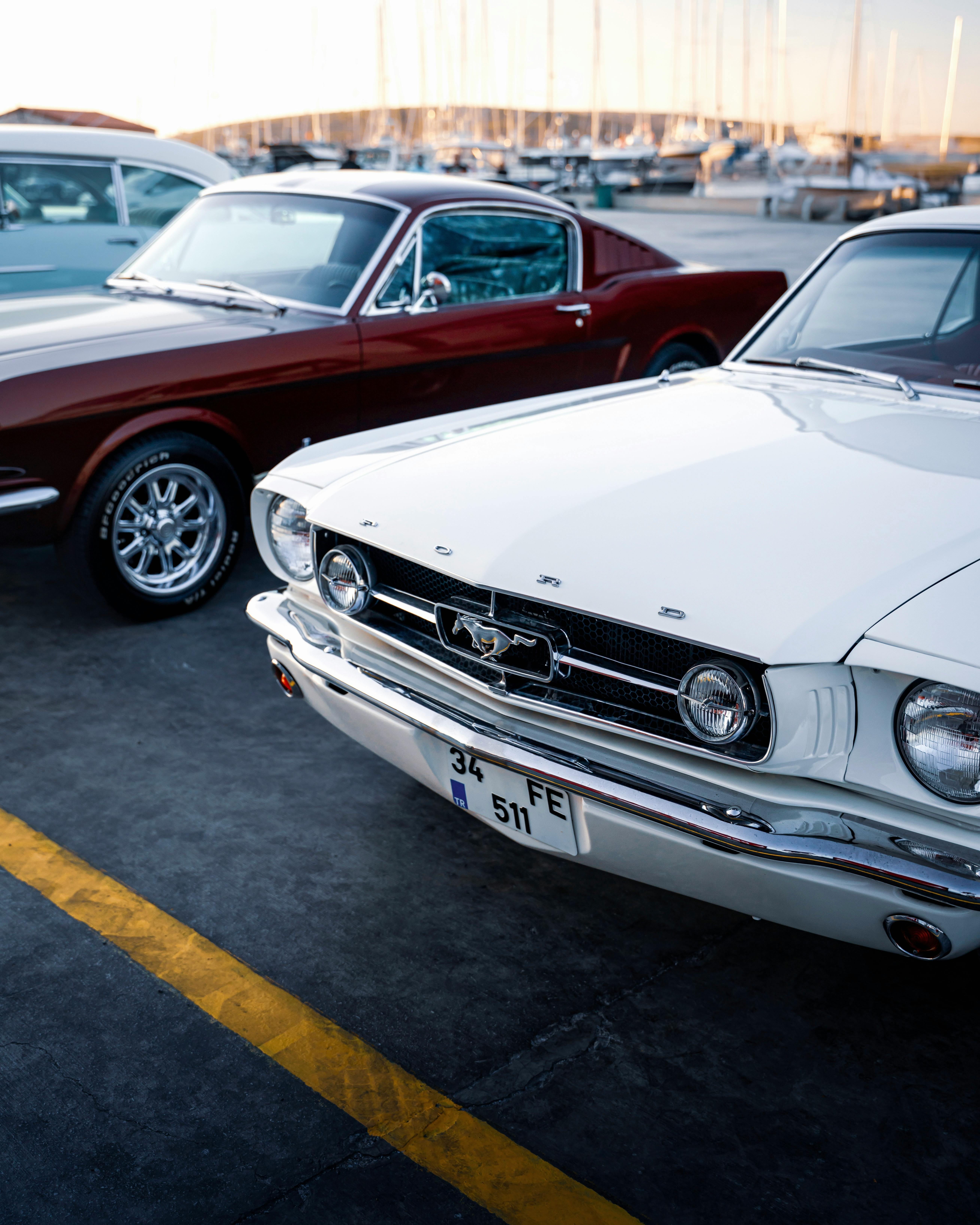 곤지암 리조트 스키장 주차 완전 정복