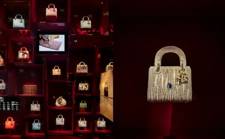 레이디 디올' 백