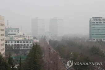 세종 미세먼지 농도 공원 산책 시간대 선택 건강 팁_12