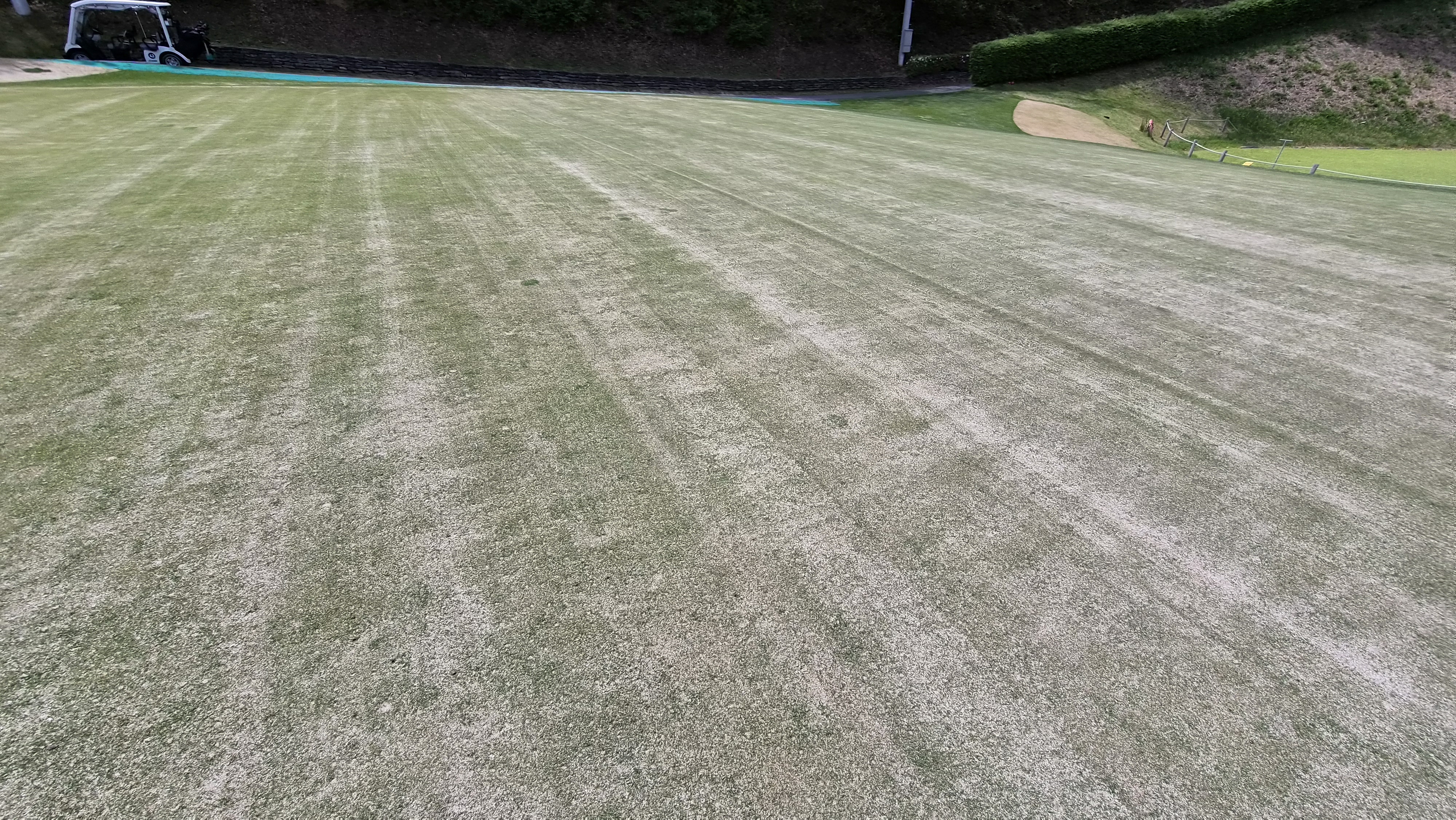 포웰cc 프린세스 라운드 후기