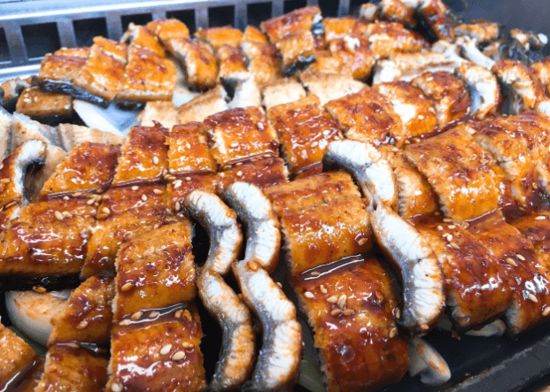 [6시 내고향] 고창 풍천장어 맛집 고바우풍천장어&amp;#44; 자연산 뱀장어 판매 농가식당