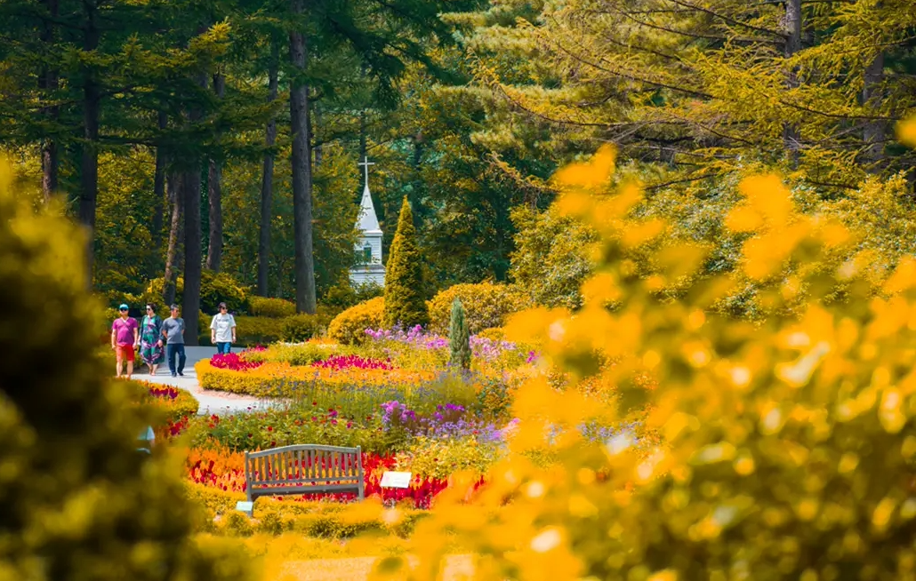 아침고요수목원