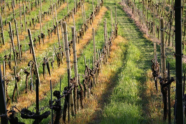 맹지 토지&amp;#44; 무조건 피해야 할까? 탈출 가능한 5가지 조건