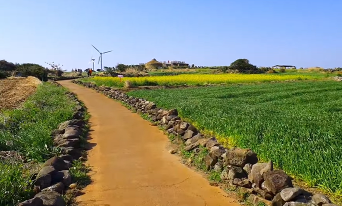 국내 봄 여행지