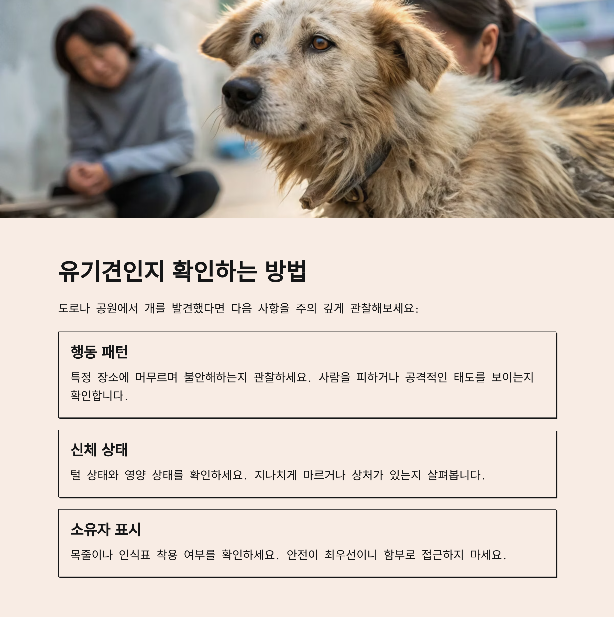 정확한 신고를 위한 관찰 팁