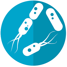 살모넬라균과-비슷하게-생긴-세균이미지