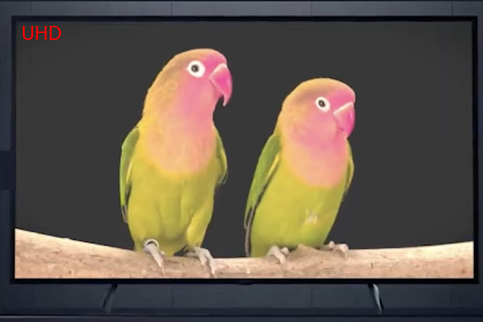 UHD-TV
