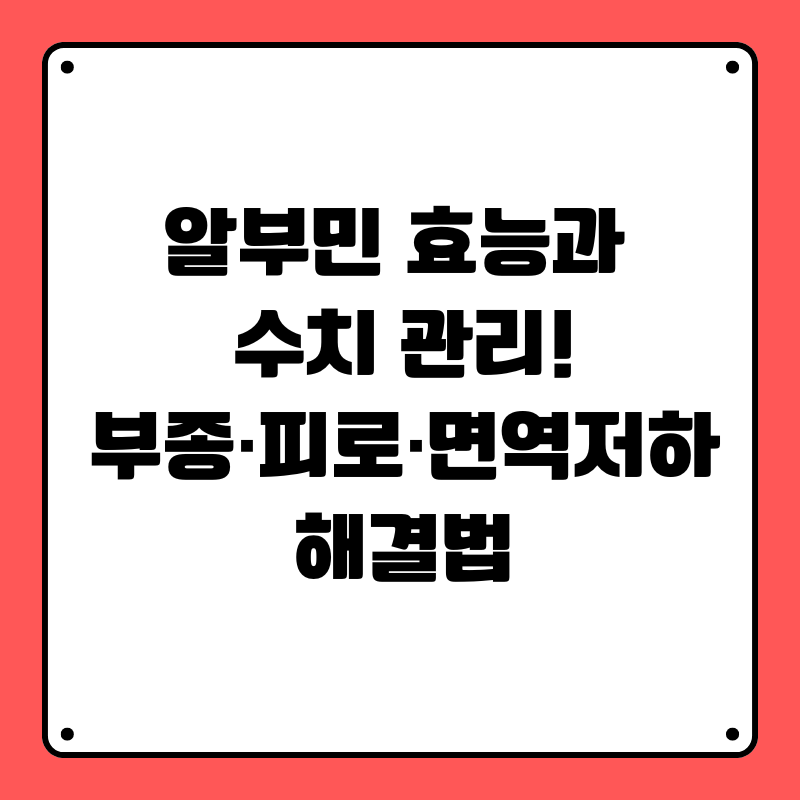 알부민 효능과 수치 관리!부종&middot;피로&middot;면역저하 해결법