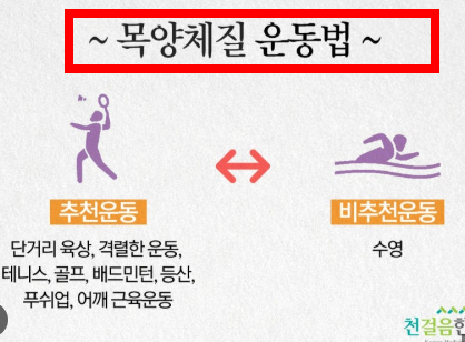 8체질 자가진단 테스트 무료 홈페이지