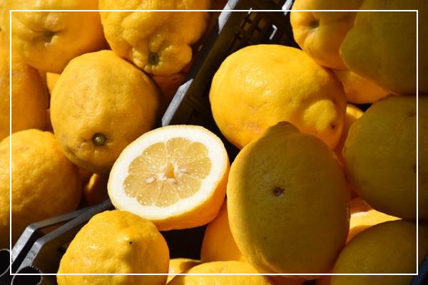 레몬의 주요 영양 성분