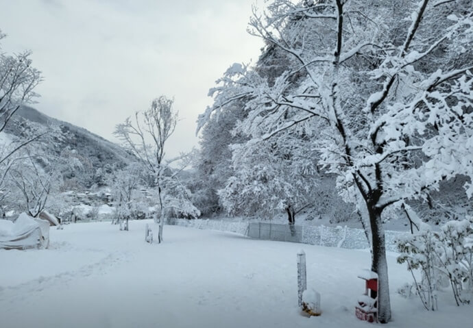 양평힐링계곡오토캠핑장