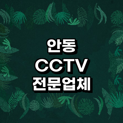안동시 cctv